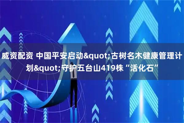 威资配资 中国平安启动&quot;古树名木健康管理计划&quot;守护五台山419株“活化石”