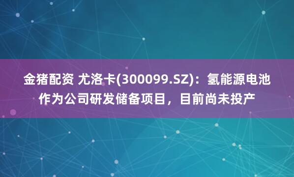 金猪配资 尤洛卡(300099.SZ)：氢能源电池作为公司研发储备项目，目前尚未投产